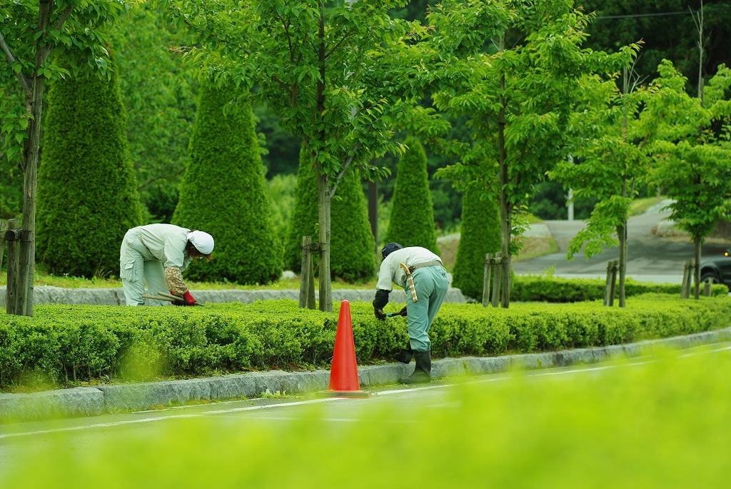 和泉植木店が緑地の年間管理をおすすめする理由