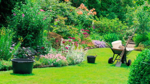 夏の庭掃除はどの業者に頼むべき？選び方のポイントとは？