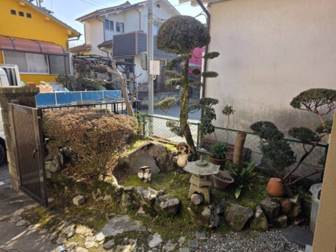 三田市 枯株撤去・移植・新植作業